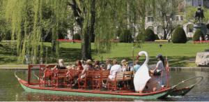 Swan Boats